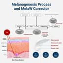 Mela W Corrector 20ml thumbnail 3